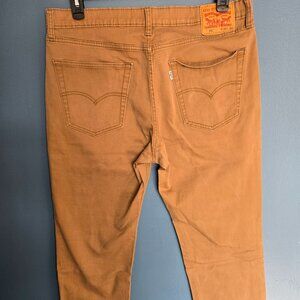Tan Levi 541
